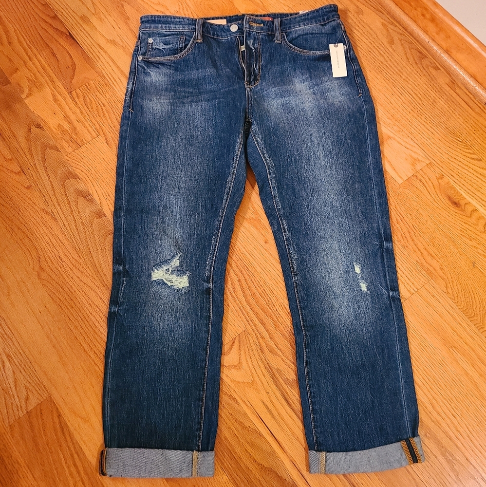 Anthropologie Pilcro Slim Boyfriend Crop Jeans Sz 27 (US 4)